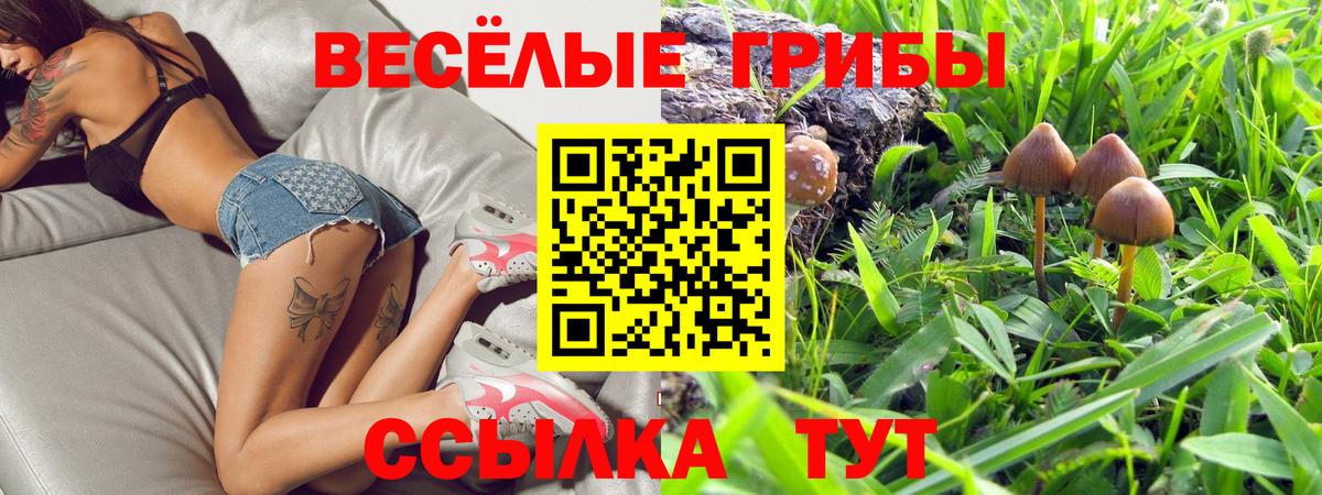 Галлюциногенные грибы прущие грибы  Псилоцибиновые грибы прущие грибы  Майкоп  Вход с VPN 